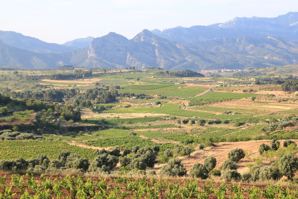 Ca La Leonor, Ecoturisme Terra Alta Villa Bot Rum bild